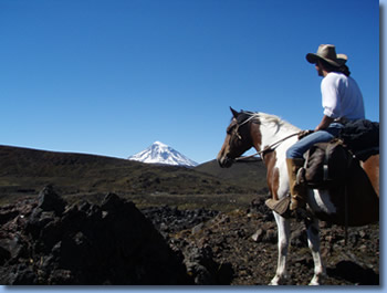 3 riders practicing rodeo moves on a rodeo clinic with Antilco